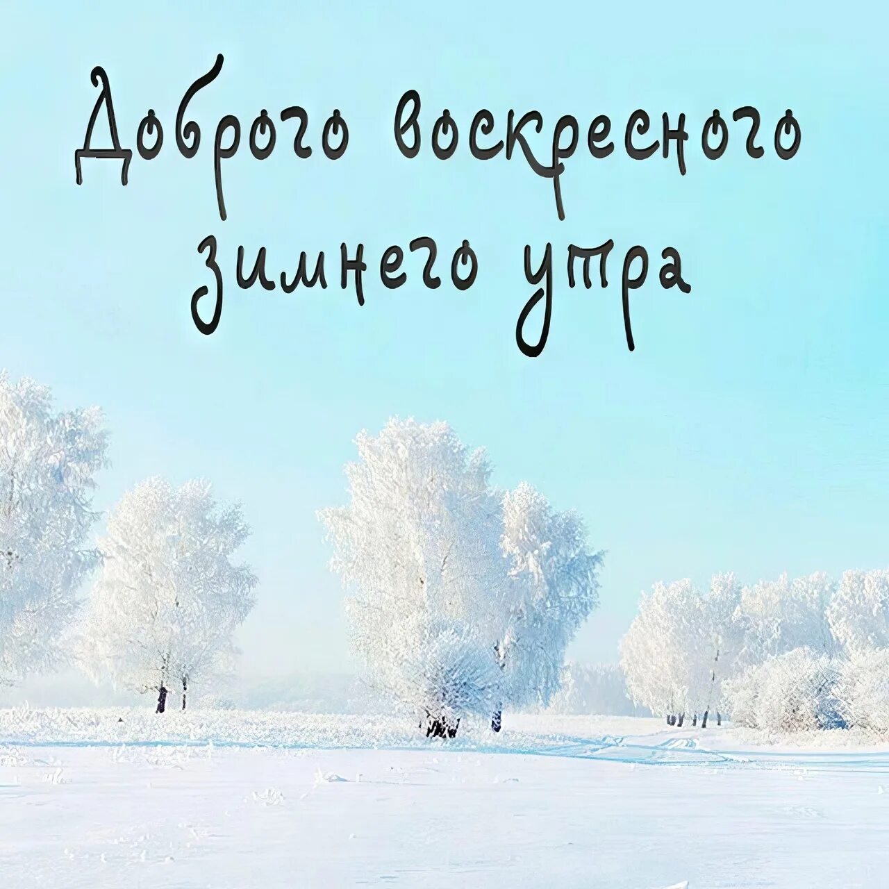 Happy Good Morning ! 2022 Мой Круг Добра VK