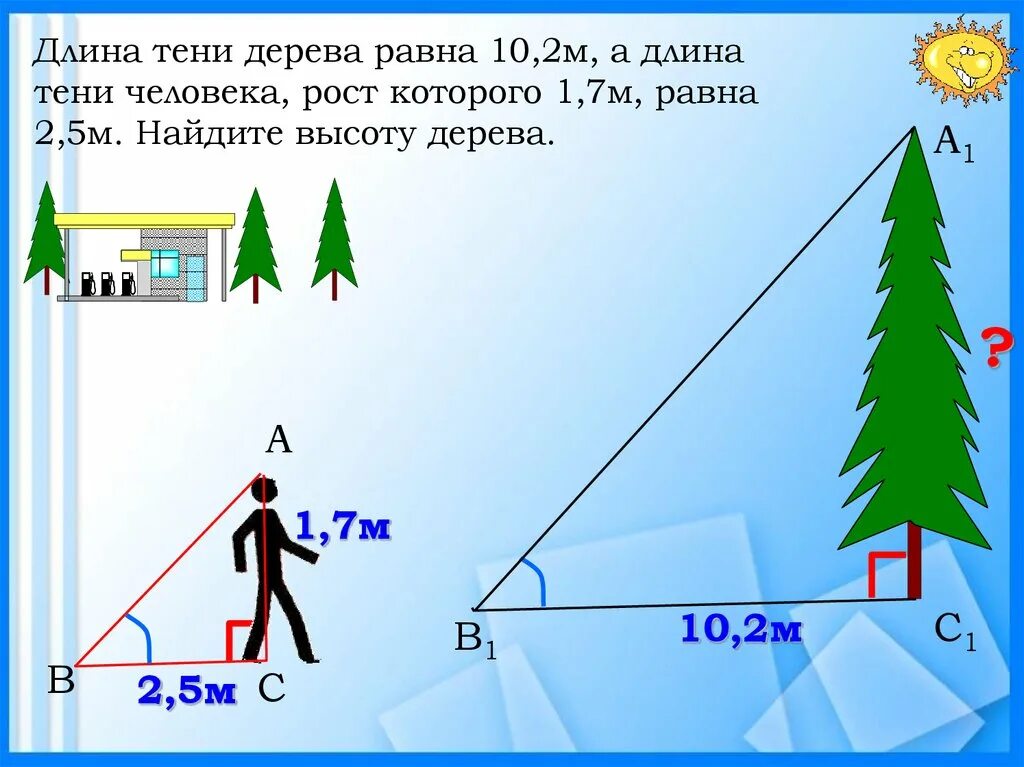 8 м 7 м равно. Задачи на длину тени. Определение длины тени. Найти длину тени. Найдите высоту дерева.