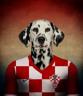 Football dog