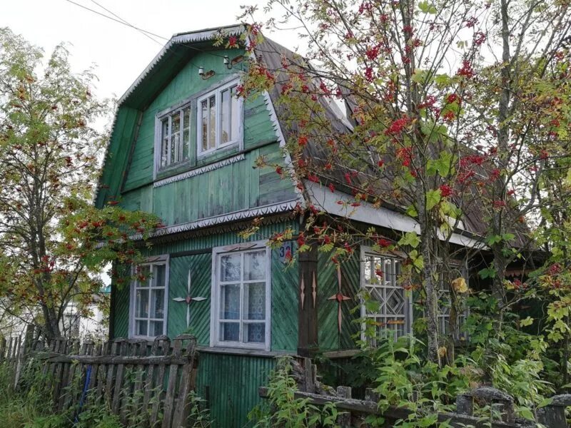 Дача в новгороде. Фабрика теплиц великий новгород панковка 1 я. дача великий новгород. новгородские дачи. дача бытовик панковка.