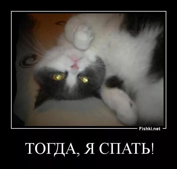 Давай спать тогда. Смешные картинки крик спать.