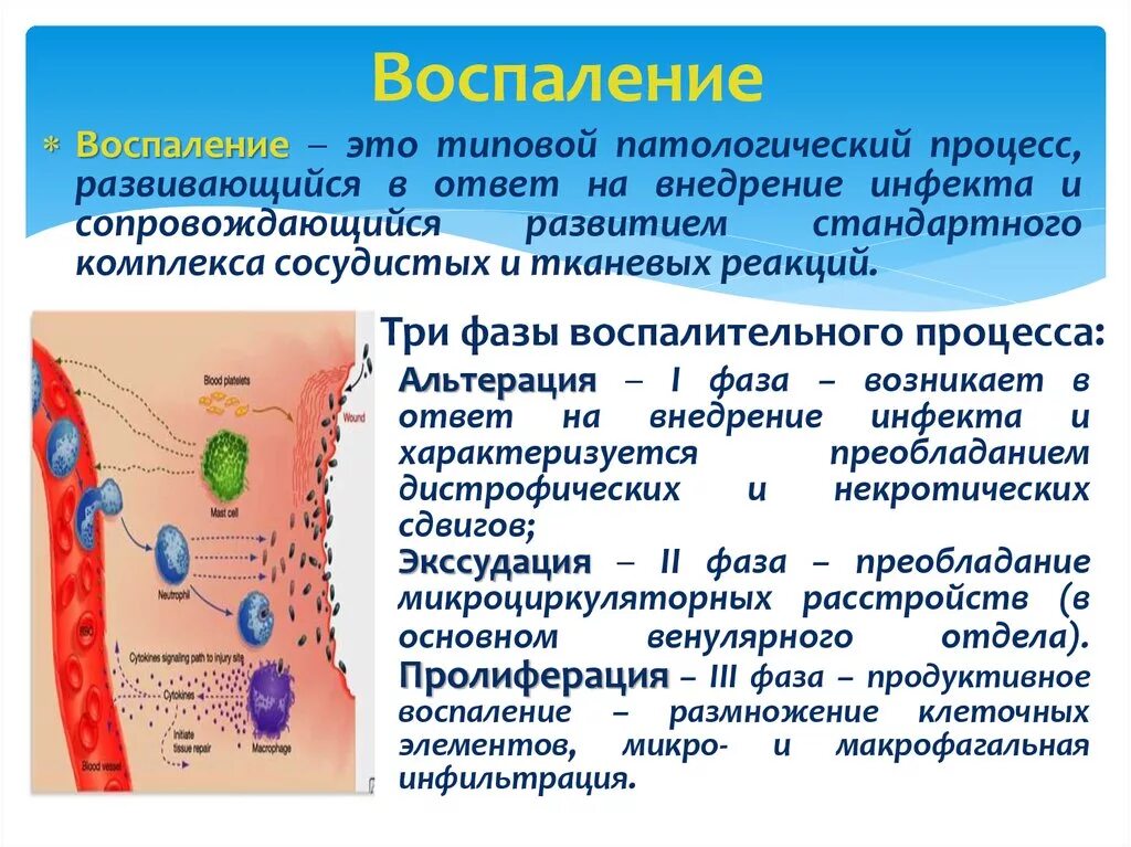 Воспалительный процесс в организме. Нейровоспалительный процесс. Воспалительные процессы сопровождаются.