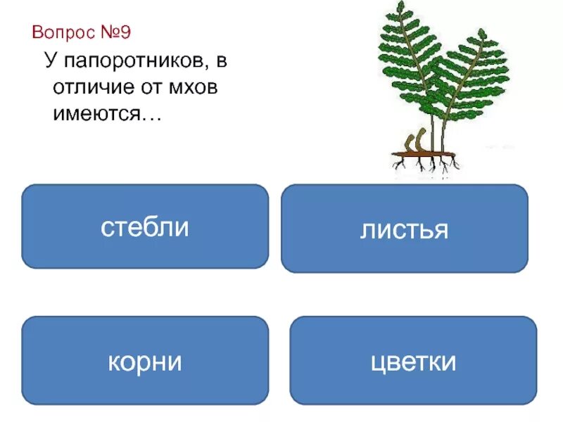 В отличие от голосеменных у покрытосеменных появляются