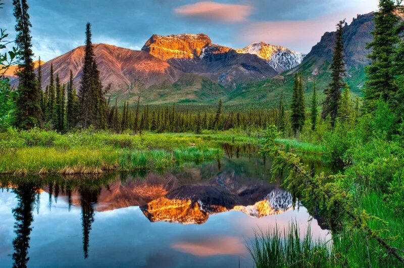 Самый богатый заповедник. Национальный парк Врангель-сент-Элайас. Аляска красота природа Аляски. Заповедники Аляски. Национальный парк Денали Аляска Дикая природа.
