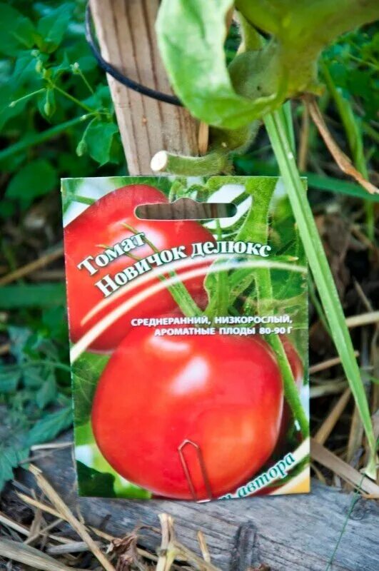 Томат вано f1. Томат черри марс. Томат камелот наш сад. Уральский дачник семена томатов. Томаты деликатес описание сорта.