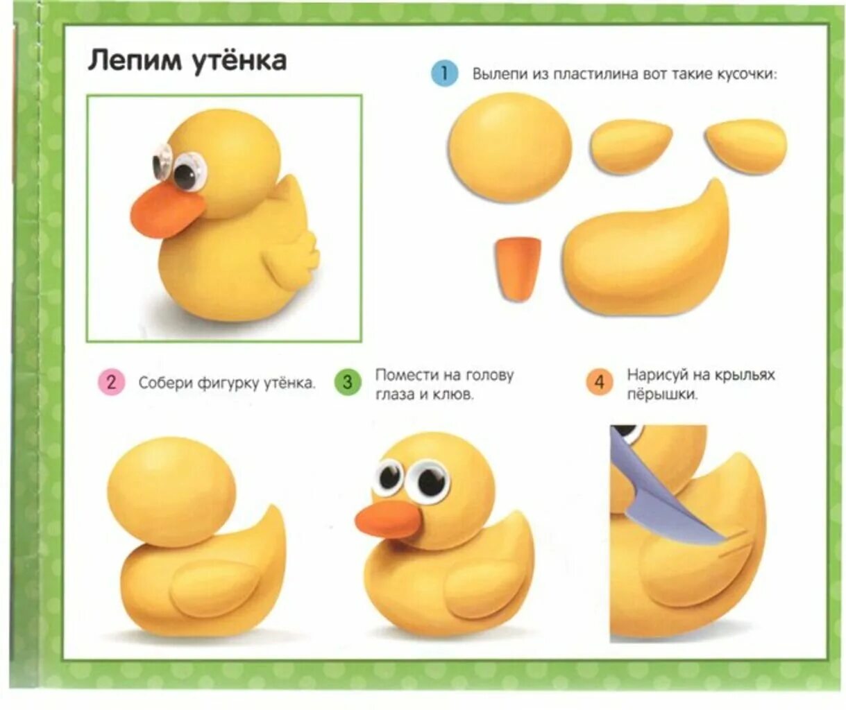 Слепить птичку из пластилина поэтапно. Лепка птичка в подготовительной группе. Пошаговая лепка из пластилина для детей. Птичка снегирь из пластилина для детей. Слепить птичку из пластилина поэтапно.