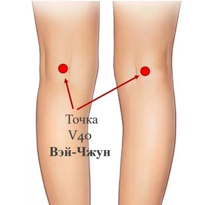 2 шаг 5 точка. Точка v40 Вэй-Чжун. Точки 2 (Вэй-Чжун). V40 точка акупунктуры. Вэй-Чжун (BL 40).