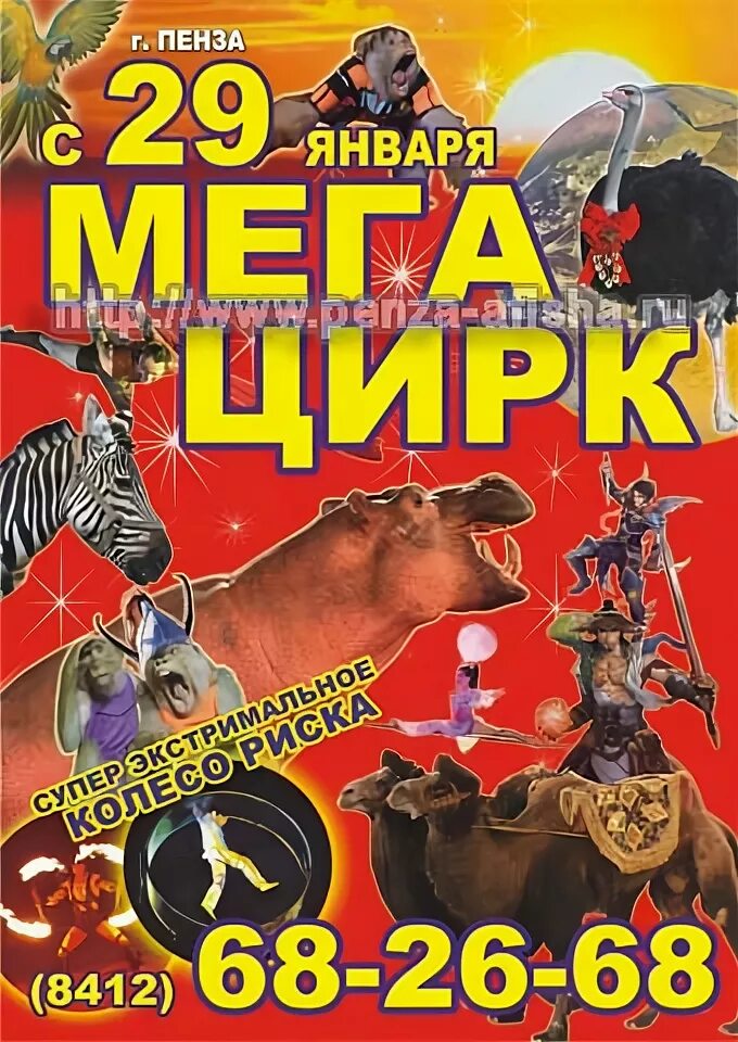 Афиша цирка в минске. Афиша цирка. Нижегородский государственный цирк. Нижегородский цирк афиша на январь. Цирк Пенза афиша.