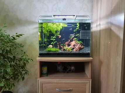 Аквариумы на 40