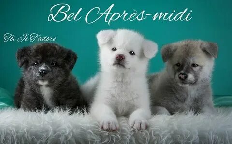 Онлайн порно