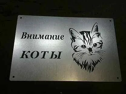 Внимание кот
