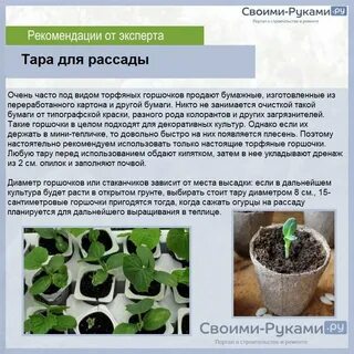 Когда сеять огурцы