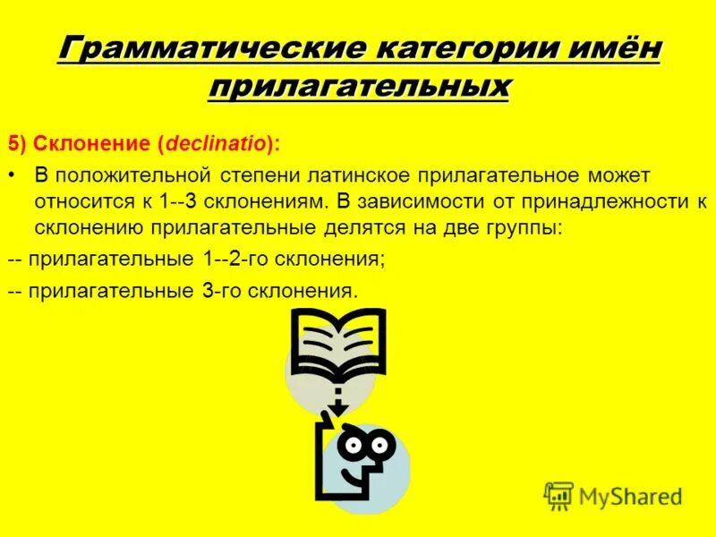 Степени прилагательного в латинском. Степени сравнения в латинском языке. Прилагательные в положительной степени относятся к латынь. Основа прилагательных. Сравнительная степень прилагательных в латинском языке.
