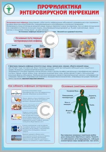 Профилактика энтеровирусной инфекции памятка. Памятка по энтеровирусной инфекции. Памятка по профилактике энтеровирусной инфекции. Памятка при энтеровирусной инфекции. Обследование на энтеровирусные инфекции