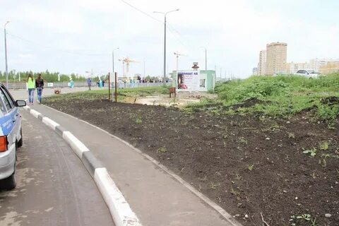 Липецк кривенков