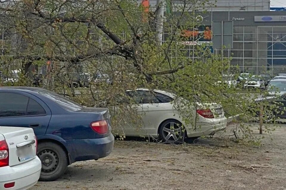 Беспилотник в уфе упал в черниковке. Дерево упало на Мерседес. Упало дерево на машину Уфа новости. Сильный ветер.