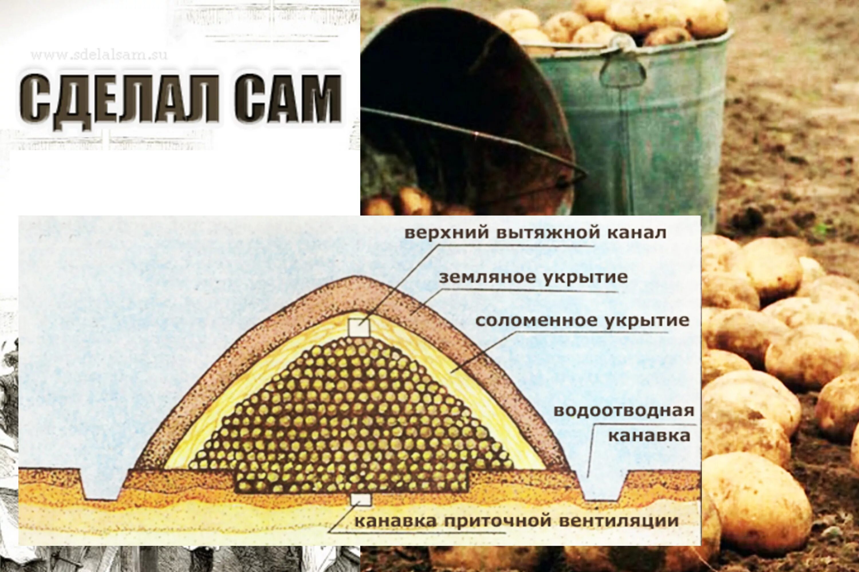 Землянка фортификационное сооружение. Земляное укрытие. Бурты и траншеи для хранения плодов и овощей. Схема бурта для хранения картофеля. Хранение картофеля, овощей в буртах и траншеях.