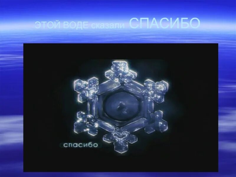 Вода реагирует на слова. Воде сказали спасибо. Замороженные кристаллы воды. Масару эмото великая тайна воды. Этой воде сказали.