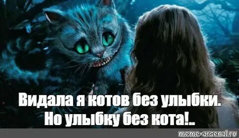 Я вижу коте