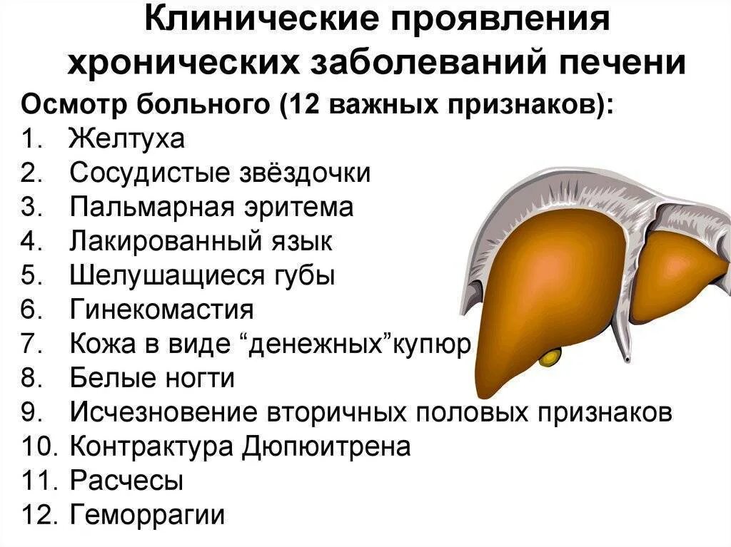 Симптомы болезни печени. Причины заболевания печени. Патология печени симптомы.