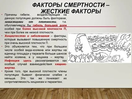 Факторы влияющие на смертность