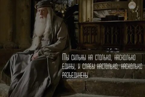 Цитаты альбуса дамблдора