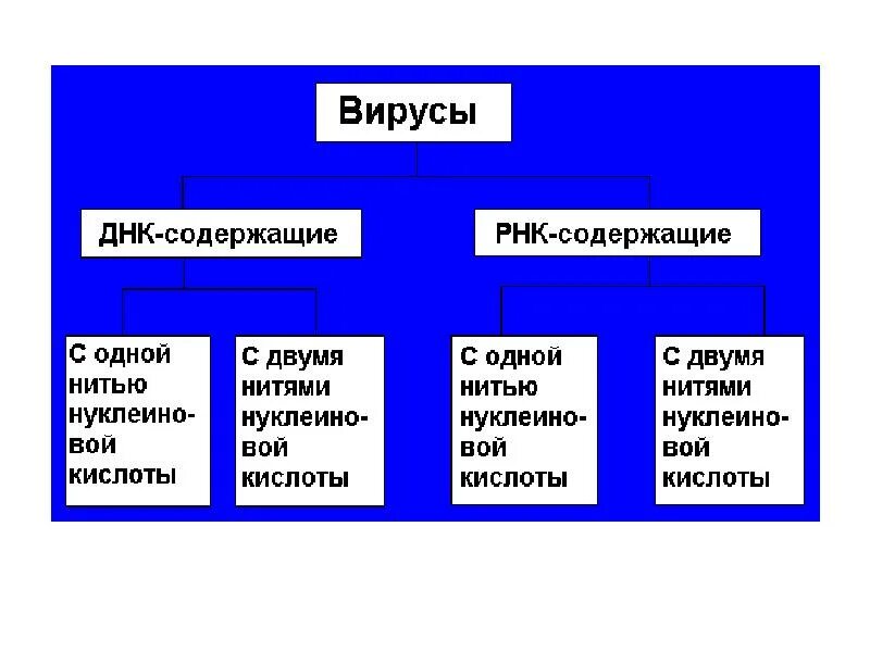 Какой вирус содержит рнк. Вирусы ДНК И РНК содержащие таблица. ДНК И РНК содержащие вирусы. Вирусы ДНК содержащие и РНК содержащие. РНК содержащие вирусы примеры.