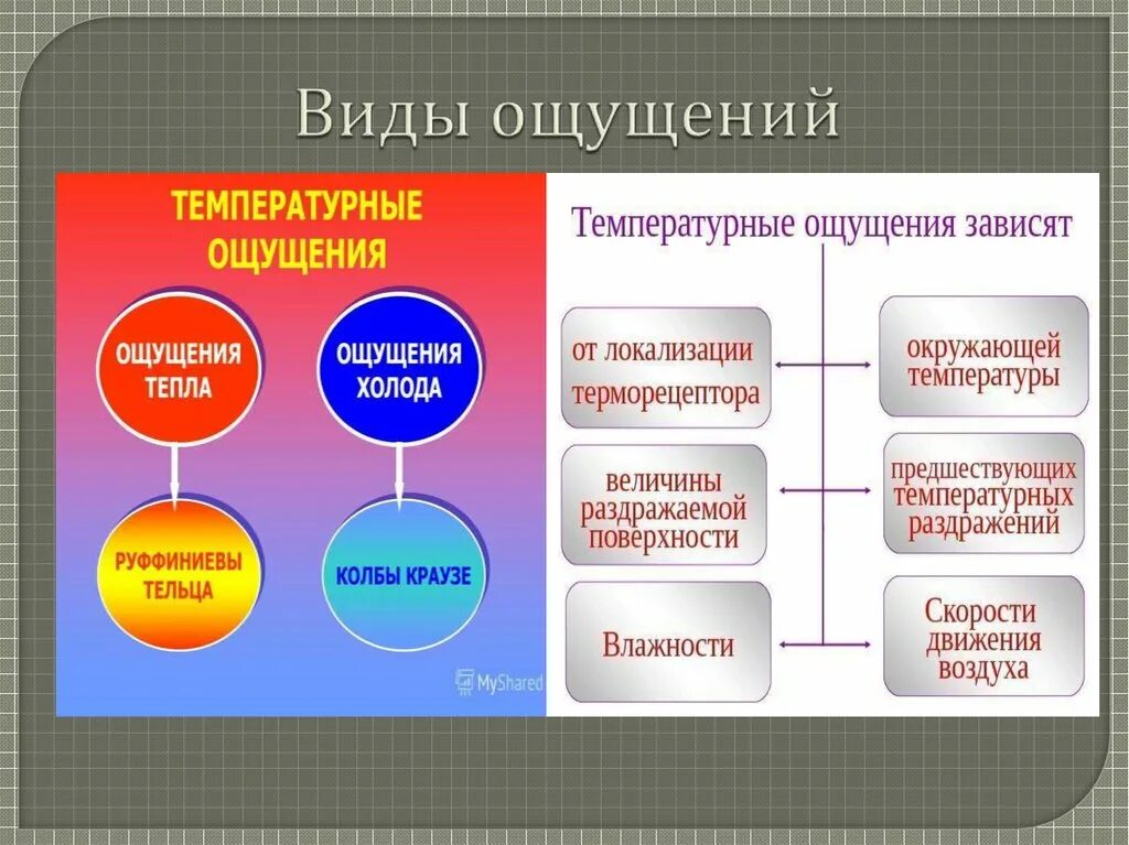 Ощущения страны. Виды ощущений. Ощущение виды ощущений. Температтурныевиды ощущений. Ощущение это кратко.