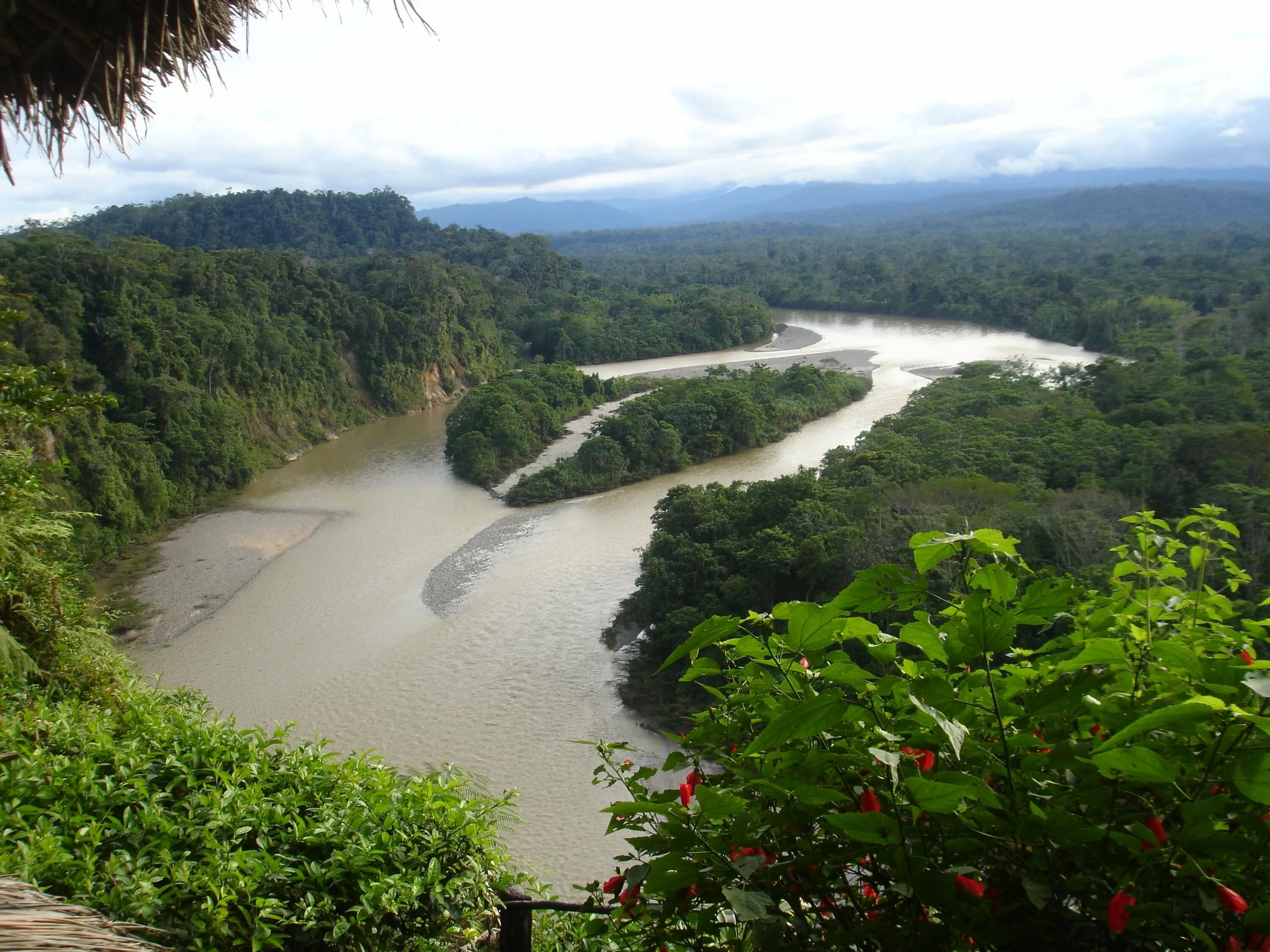 Реки страны бразилия. Эквадор Сельва. Река Эсмеральдас в Эквадоре. Эквадор джунгли Амазонии. Сельва Перу.