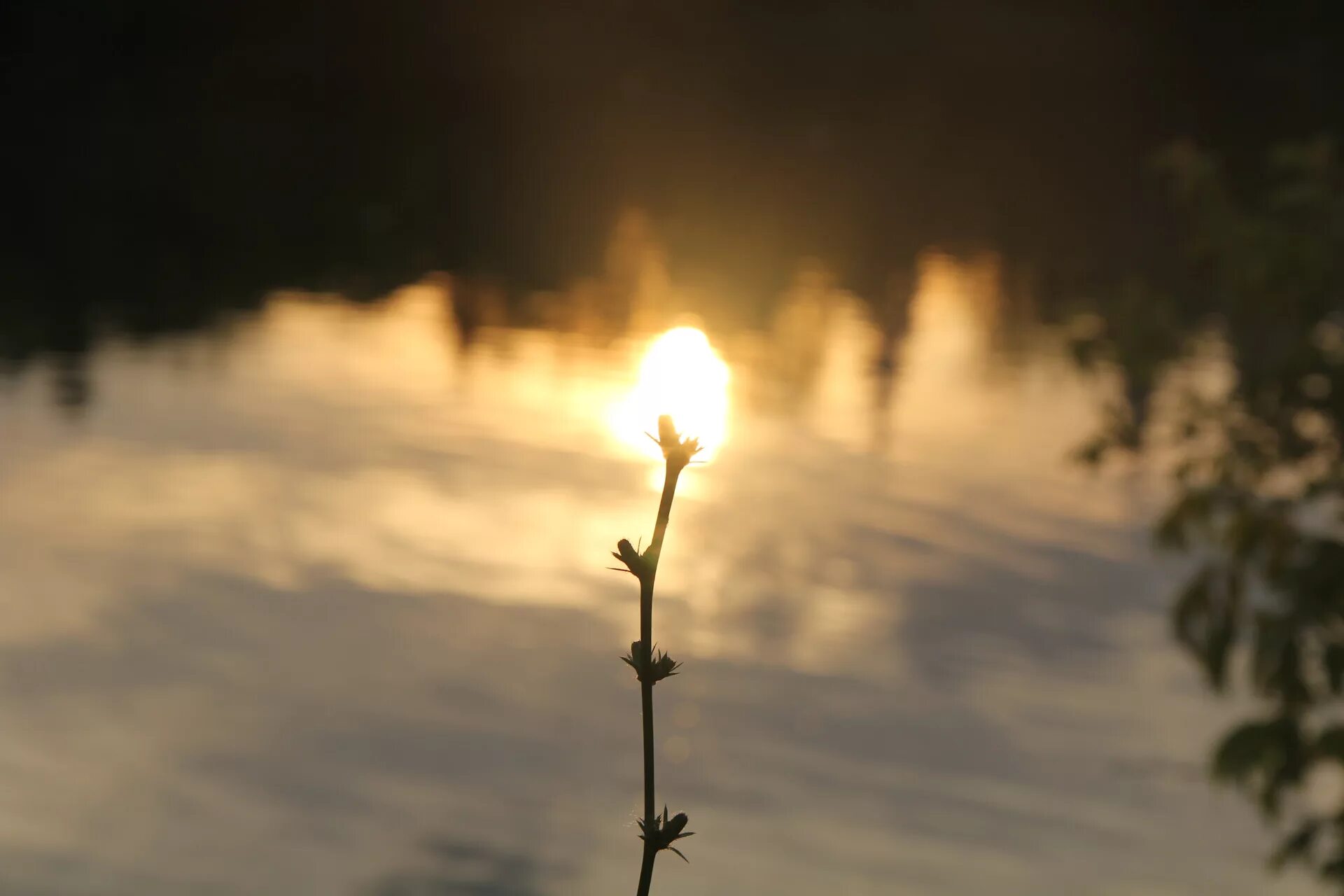 Солнце не светит. Девушка в солнечных лучах. Детское стихотворение про солнышко. Солнечный цветок. Солнце и человек.