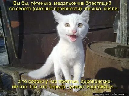 Я вот тут задумалась стало интересно