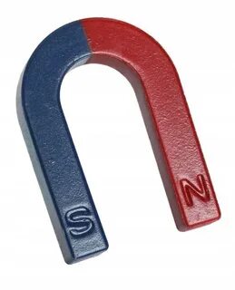 Magnet