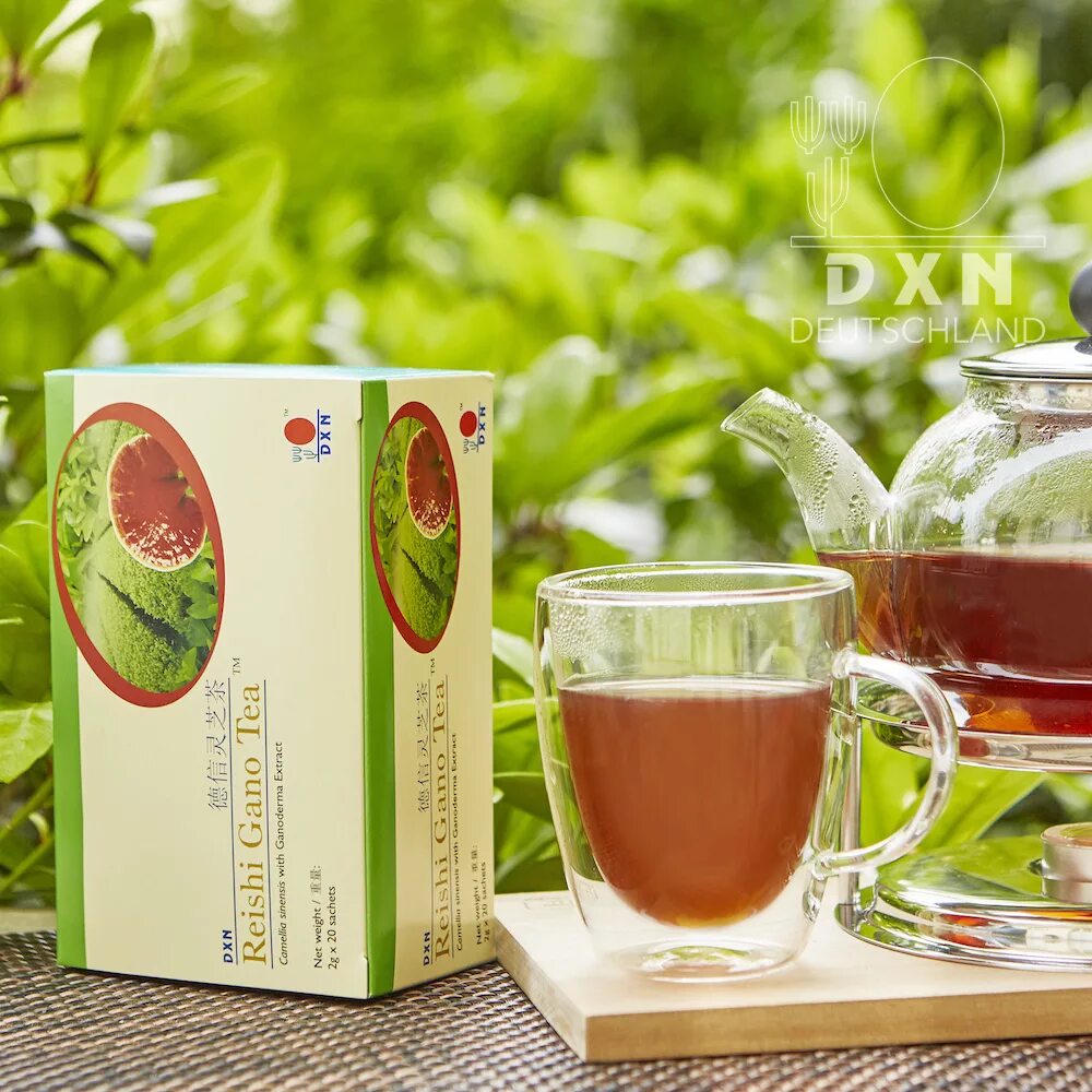 DXN Lemonzhi. Reishi gano Tea. Шифо чай. DXN Reishi gano Tea.