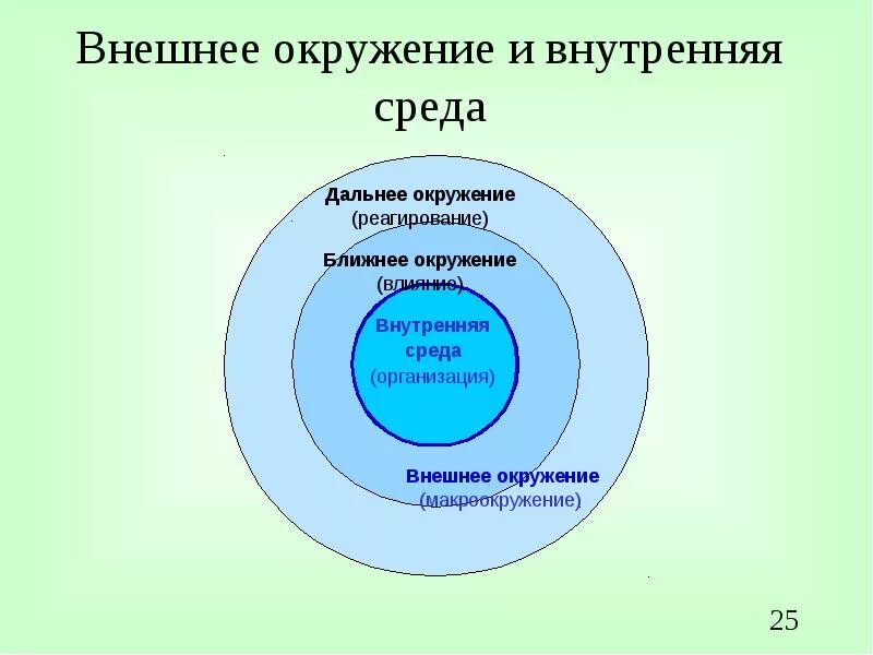 Окружение адреса. Внешняя среда организации. Внешняя и внутренняя среда организации. Внутренняя среда организации. Внешняя среда и внутренняя среда.