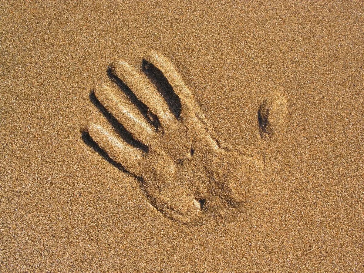 Песочный значение. Песочный значение. Песочная терапия в доу занятия. Песочная терапия стихи. Песочная терапия для детей презентация.