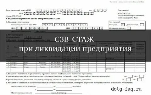 Какие отчеты сдают при ликвидации