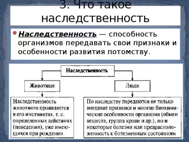 Что такое наследственность Обществознание 6 класс. Наследственность это в обществознании. Наследственность биология 5 класс. Наследственность это биологическая сущность человека. Особенности организма передавать свои признаки свойства