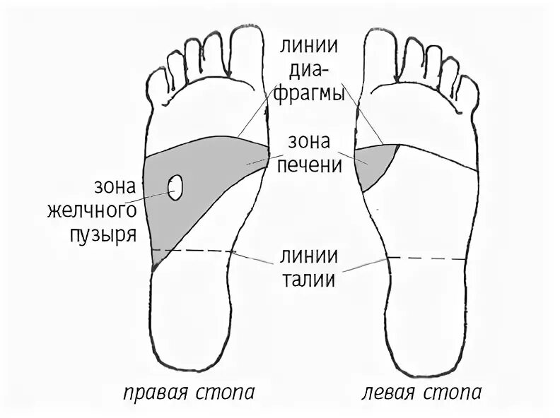 Точка желчного пузыря на стопе. Точки на стопе желчный. Точки для печени и желчного пузыря. Точки печени и желчного пузыря на стопе.