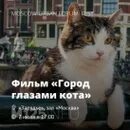 Город глазами кота 2018