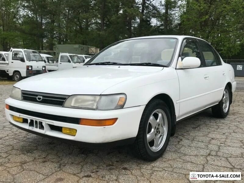 Тойота Королла 1993. Toyota Corolla 1993 дизель. Тойота Corolla 1993. Таета 1993 Тойота Королла.