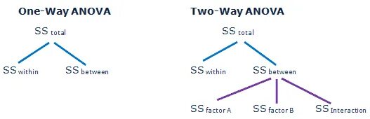 Two way 1. Way two m two. between within. between/within что показывает.