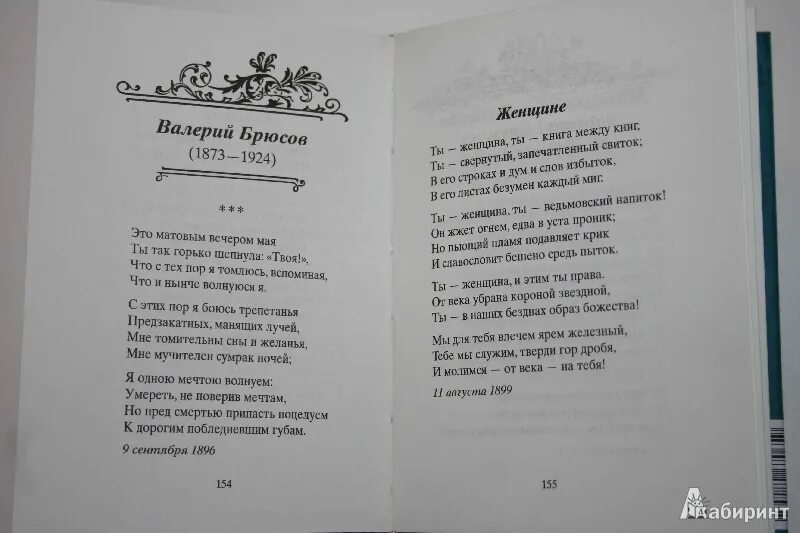 Во сне ты горько плакал читать. Люблю я канарейку стихотворение. Стихотворения. Брюсов в.я.. Брюсов стихи. Ты женщина Брюсов стих.