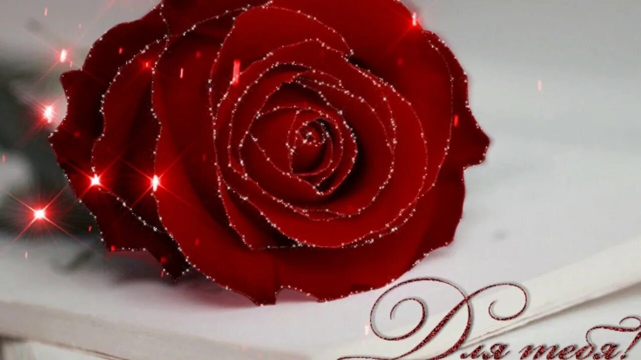 Красивые розы. Шикарные красные розы. Открытки с розами. Открытки с розами красивые. Гиф красивые розы
