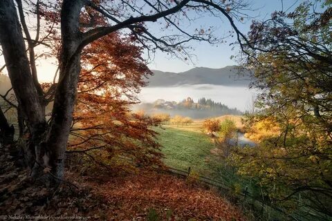 Morning falls