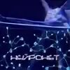 Нейронет это