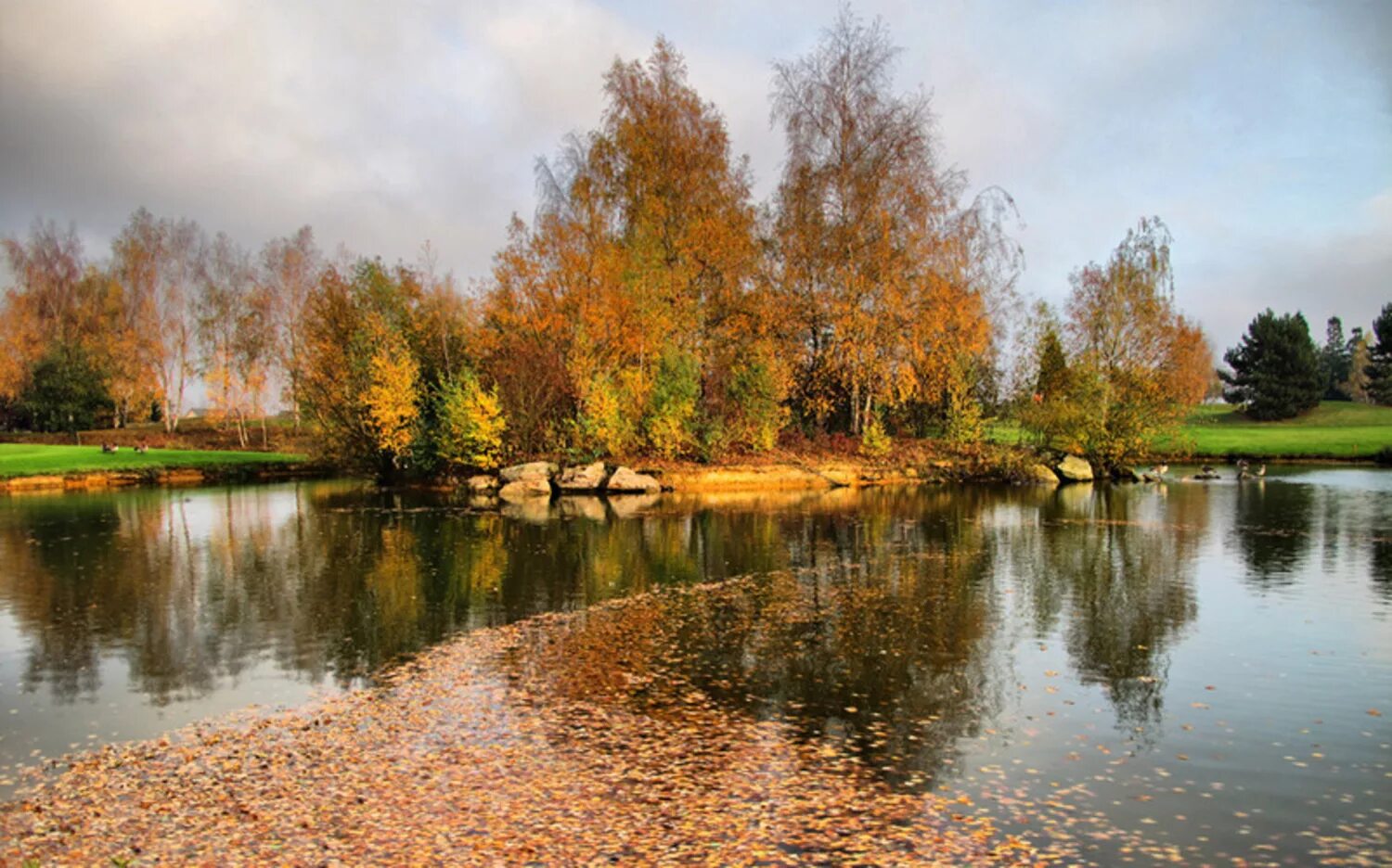 Красногорск пруды Золотая осень. Осенний пруд. Осень пруд. Осень пруд листва. Розоватой воде на пруду