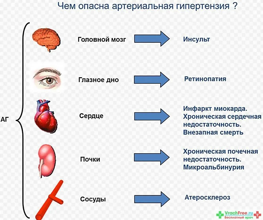 Симптомы артериальной гипертонии. Гипертоническая болезнь 2 степени органы мишени. Органы мишени артериальной гипертензии. Осложнения симптоматической артериальной гипертензии. Поражение органов мишеней при АГ.