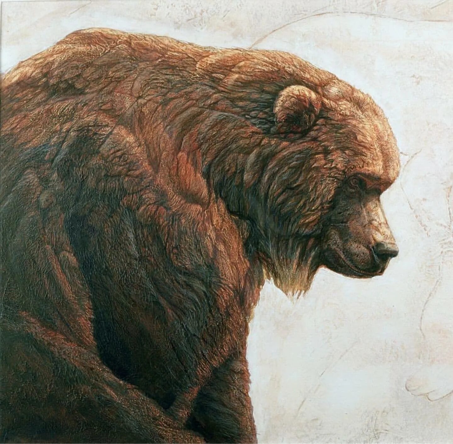 Пещерный медведь Ursus spelaeus. Пещерный медведь вымершие Медвежьи. Пещерные медведи Кайнозойская Эра. Гигантский Короткомордый медведь Арктодус. Как называли медведя в древней руси