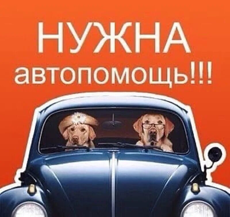 Автомобильный рынок новосибирска. Новосибирский авторынок. Нужна машина новосибирск. Нужные машины. Нужные машины.