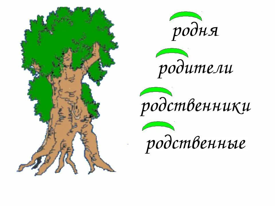 Рисунок дерево слов. Дерево слов. Проект дерево с однокоренными словами. Дерево с однокоренными словами. Проект однокоренные слова.